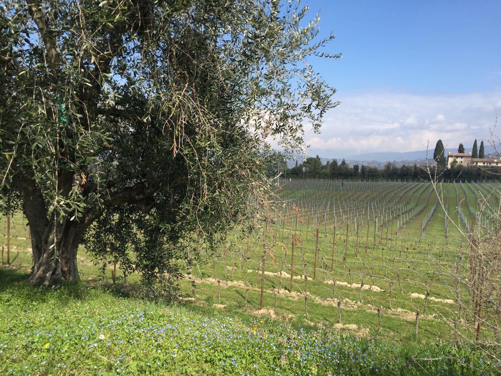 Tenuta La Ca Bardolino Zewnętrze zdjęcie